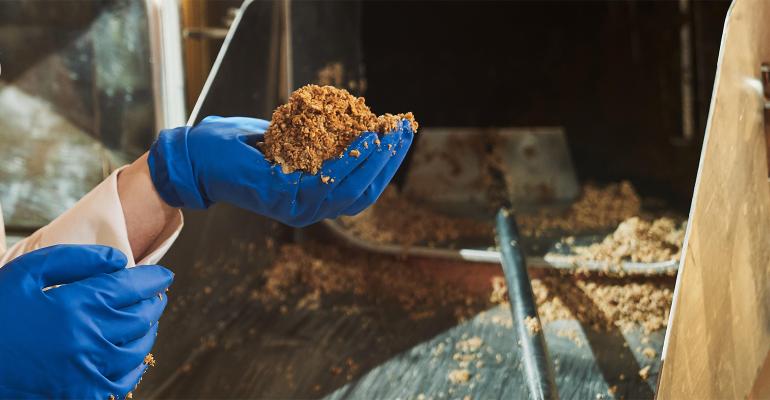 Brewers' spent grain can be upcycled as an ingredient in breads, pastas and baking mixes